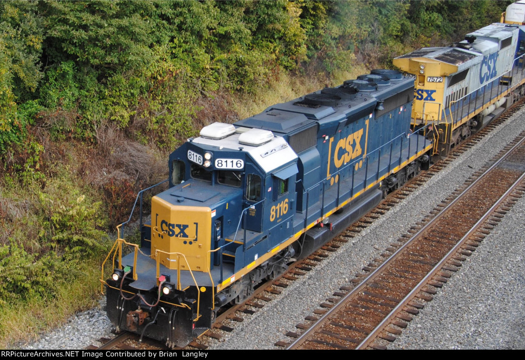 8116